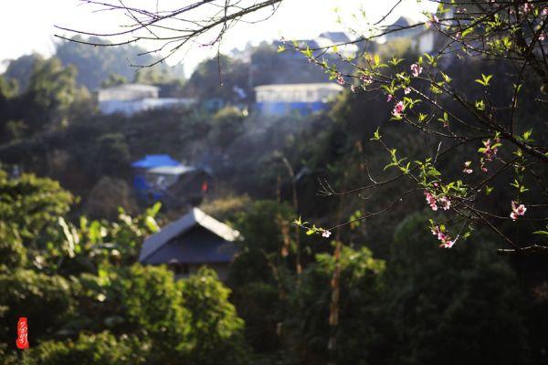 喜讯 | 麻城市中医医院获评湖北省“癌痛规范化治疗病房”