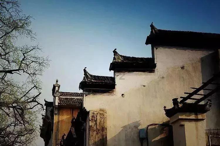 豆娃勇士